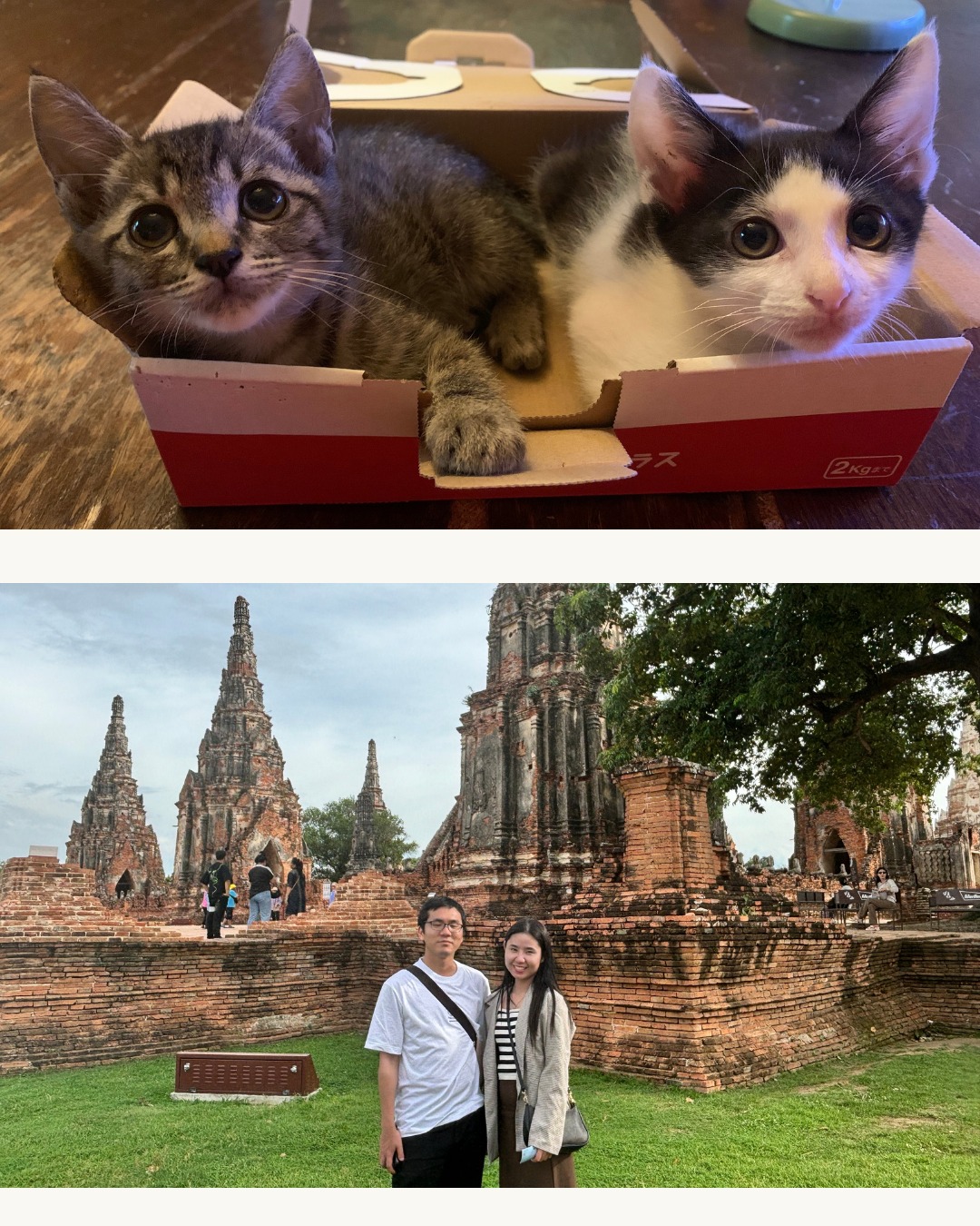 自宅にいる保護猫たちと、妻とタイ・アユタヤを訪れた際の一枚